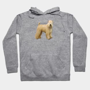 A Soft Coated Wheaten Terrier (standing) - Just the Dog Hoodie